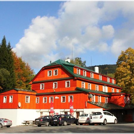 Hotel Alba Destne v Orlickych horach Exteriör bild