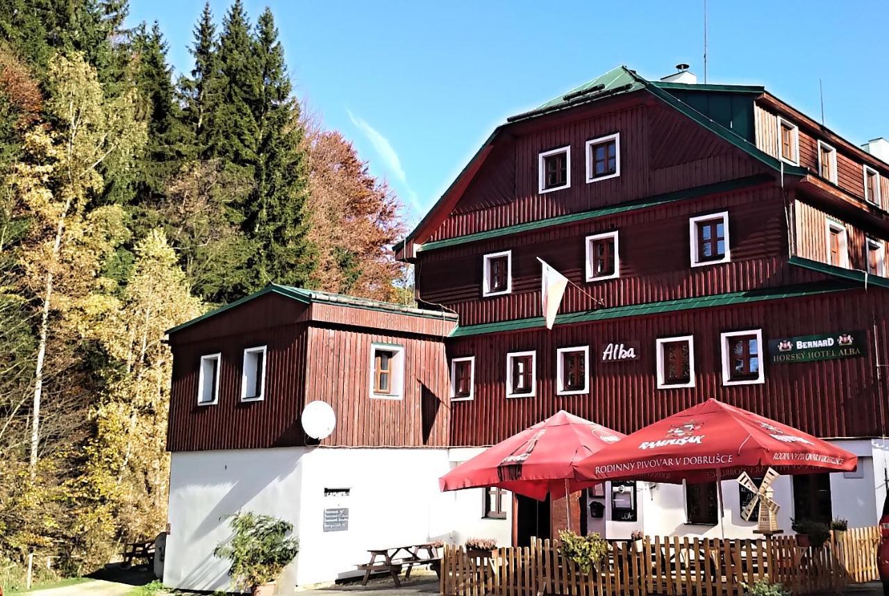 Hotel Alba Destne v Orlickych horach Exteriör bild