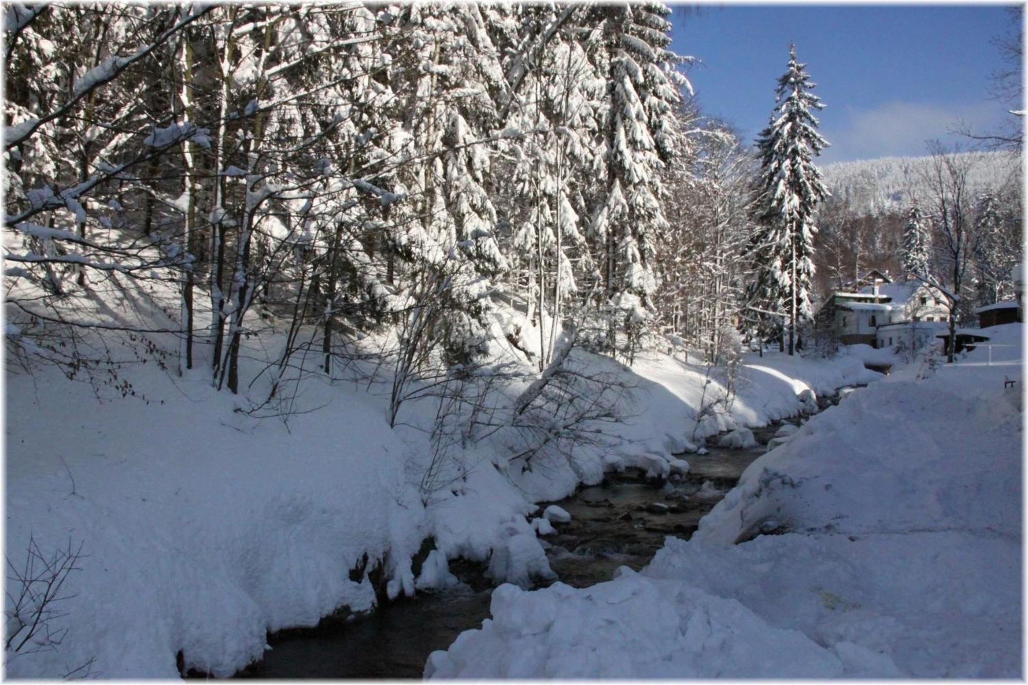 Hotel Alba Destne v Orlickych horach Exteriör bild