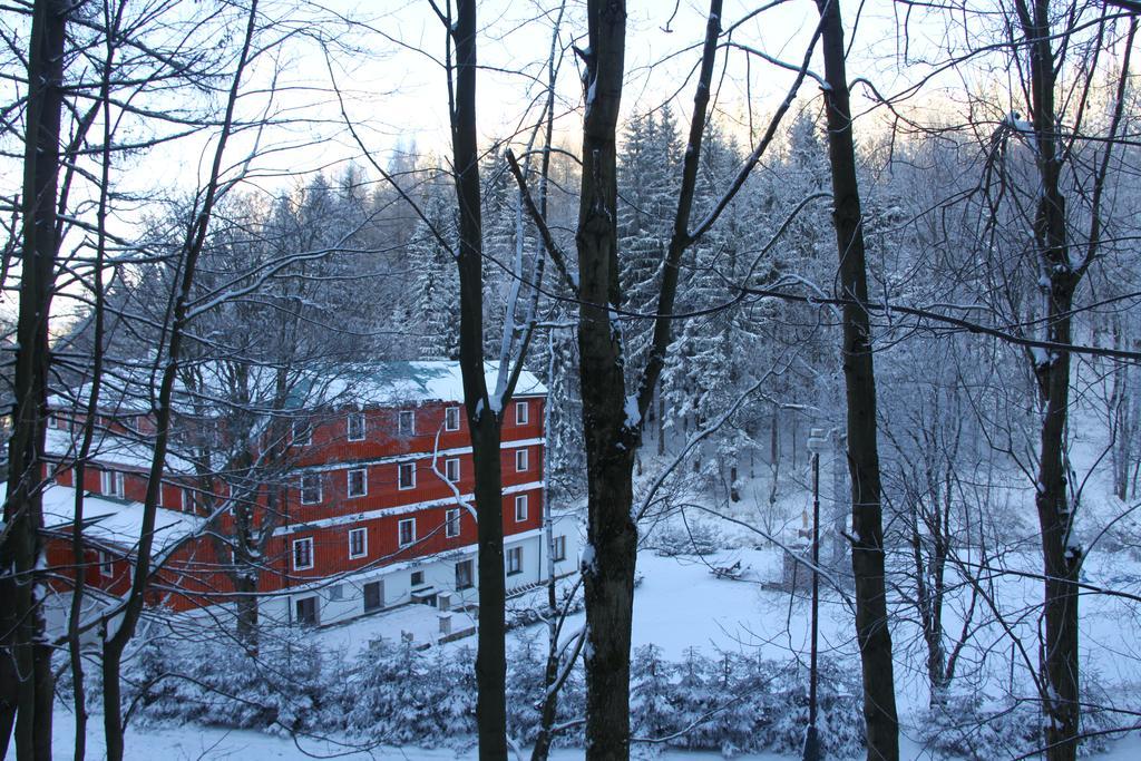 Hotel Alba Destne v Orlickych horach Exteriör bild